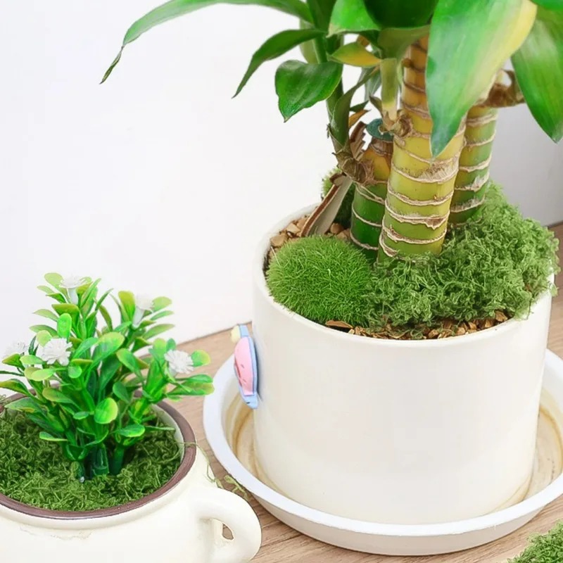 30/300G Artificial Realistic M - Terrarium Moss Art recension och pris