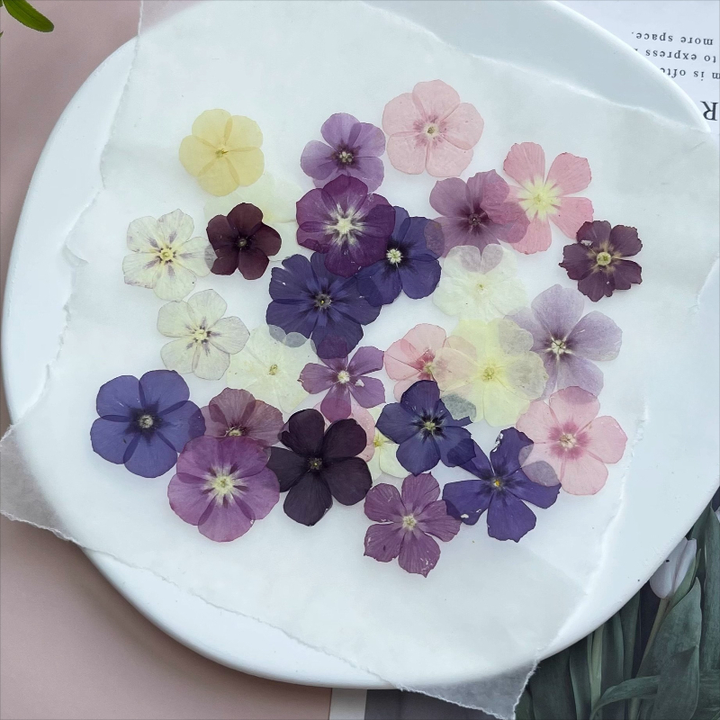 12pcs,Semi-Transparent Niche P - Resin Craft Ideas recension och pris