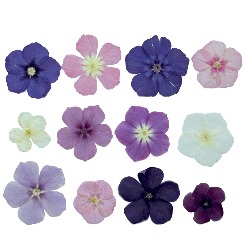 12pcs,Semi-Transparent Niche P - Resin Craft Ideas recension och pris