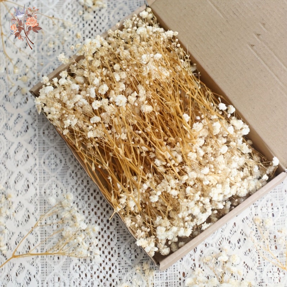 100pcs Mini Dried Baby's Breat - Resin Craft Ideas recension och pris