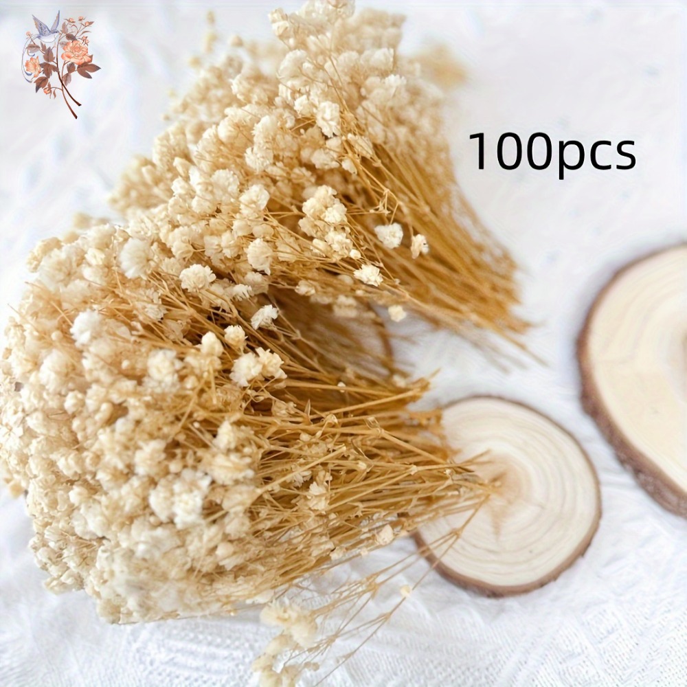 100pcs Mini Dried Baby's Breat - Resin Craft Ideas recension och pris